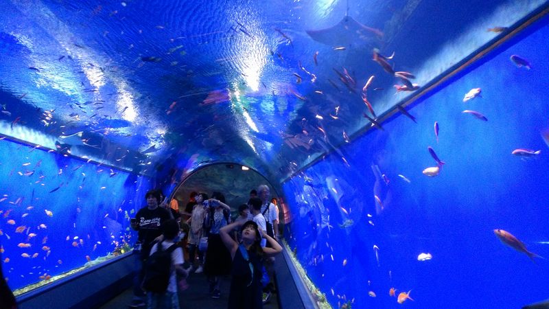 tunnel kai tunnel kai
